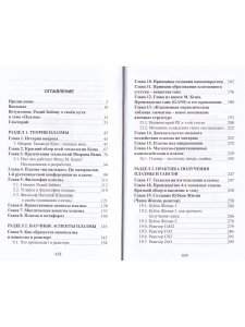 Плазма. Прана. Жива. Ци. Введение в нанопплазменные технологии