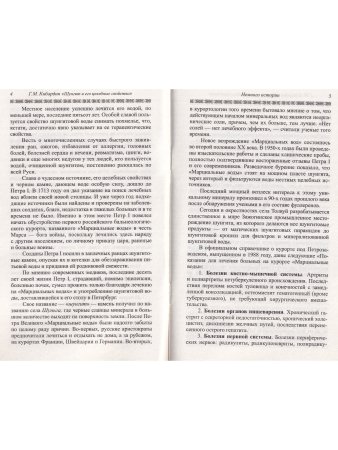 Шунгит и его целебные свойства. 2-е издание