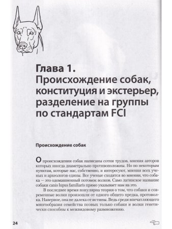 Собаки: выбор и воспитание щенка служебных пород