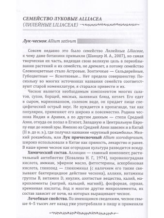 Лекарственные свойства пряностей