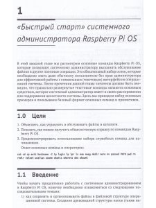RASPBERRY PI OS: системное администрирование с SYSTEMD и PYTHON