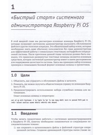 RASPBERRY PI OS: системное администрирование с SYSTEMD и PYTHON