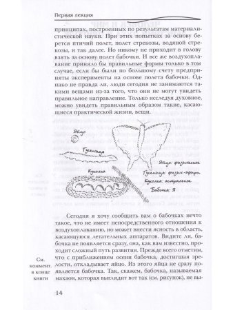 Р. Штайнер Человек и мир