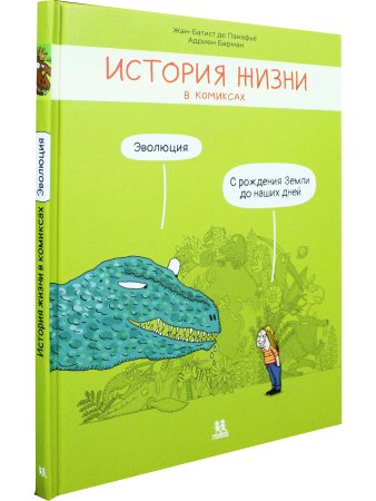 История жизни в комиксах