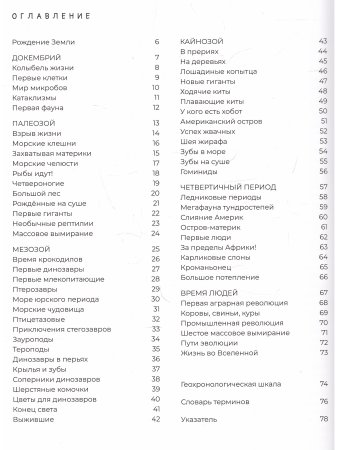 История жизни в комиксах