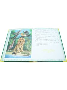 Большая книга сказок. Сказки леса