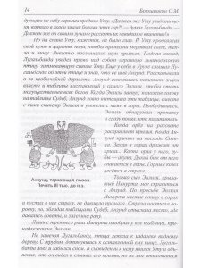 Сказка о ветре. Медитация для взрослых