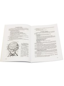 Анатомия органов мочеполовой системы. Учебное пособие. 10-е изд., испр. и доп.