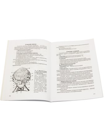 Анатомия органов мочеполовой системы. Учебное пособие. 10-е изд., испр. и доп.