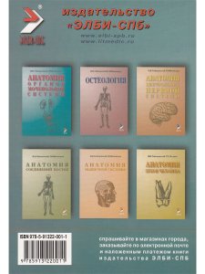 Клиническая анатомия сосудов и нервов. Учебное пособие