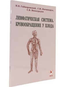Лимфатическая ситема. Кровообращение у плода. Учебноке пособие
