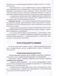 Лимфатическая ситема. Кровообращение у плода. Учебноке пособие