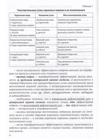 Функциональная анатомия вегетативной нервной системы. Учебное прособие