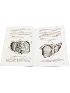 Функциальная анатомия органов пищеварительной системы (строение, кровоснабжение, иннервация, лимфоотток) (учебное пособие) 6-е изд., перераб.