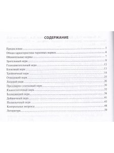 Функциолальная анатомия черепных нервов