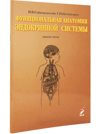Функциональная анатомия эндокринной системы. Учебное пособие. 3-е изд.