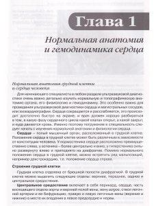 Эхокардиография в норме для начинающих от Рыбаковой