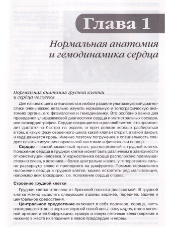 Эхокардиография в норме для начинающих от Рыбаковой