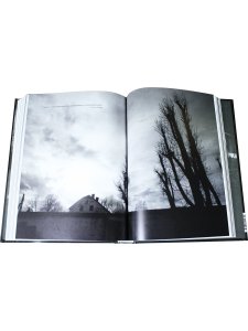 Светотень. Истории, теории и практики