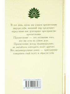 Зеркало просветления. Послание играющего Духа