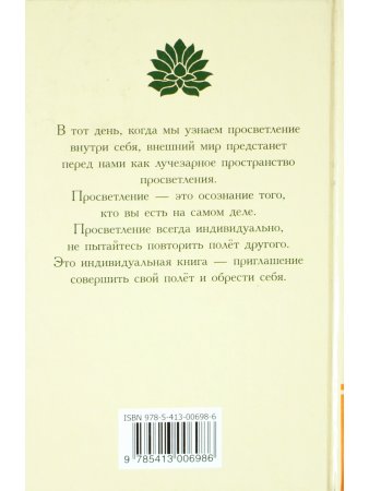 Зеркало просветления. Послание играющего Духа