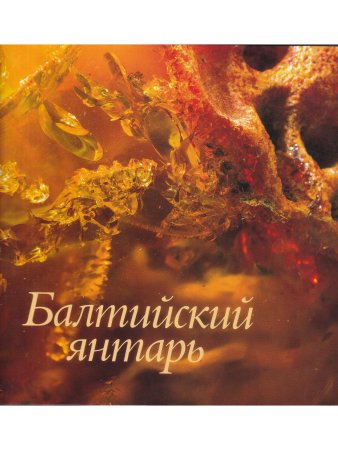 Балтийский янтарь (из собрания Калининградского музея янтаря)