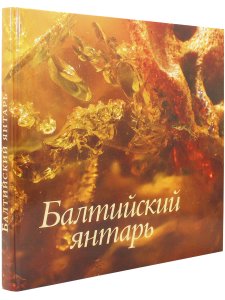 Балтийский янтарь (из собрания Калининградского музея янтаря)