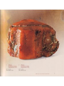 Балтийский янтарь (из собрания Калининградского музея янтаря)