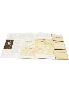 Дворцовая телеграфная станция в Петергофе