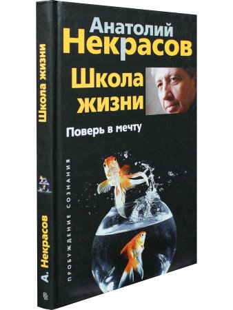 Школа жизни. Поверь в мечту.