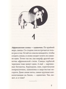 Штефани Хёфлер Лето с Вуком