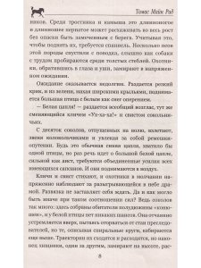 Письмо и пуля