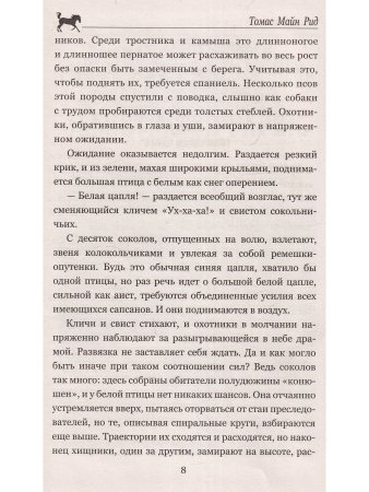 Письмо и пуля