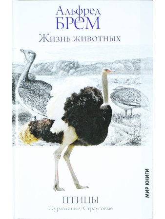Жизнь животных. Птицы