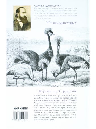 Жизнь животных. Птицы