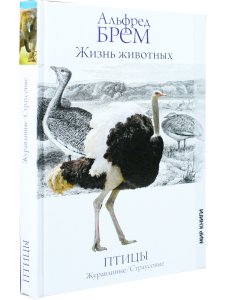 Жизнь животных. Птицы