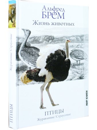 Жизнь животных. Птицы
