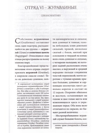 Жизнь животных. Птицы