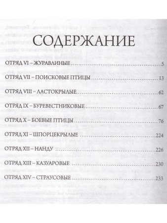Жизнь животных. Птицы