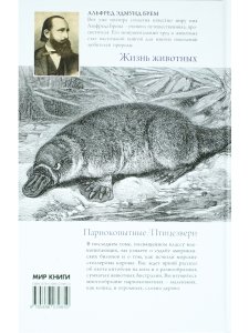 Жизнь животных. Млекопитающие