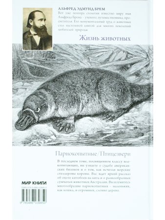 Жизнь животных. Млекопитающие