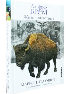 Жизнь животных. Млекопитающие