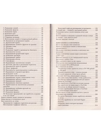 Народный бизнес. Как быстро открыть свое дело и сразу начать зарабатывать