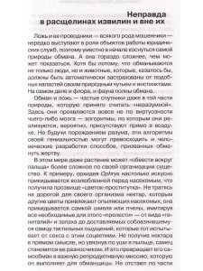 Судный мозг