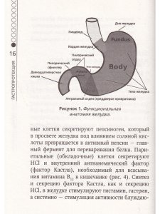 Гастропротекция. Руководство для практических врачей