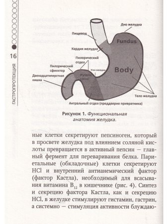 Гастропротекция. Руководство для практических врачей