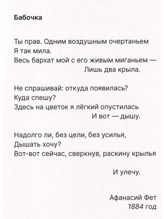 Как гусеница становится бабочкой