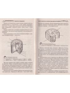 Деревообработка. Технологии и оборудование
