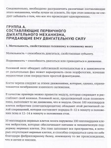 Венозные синусы черепа - один из ключей к мигреням