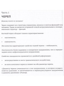 Краниосакральная архитектура